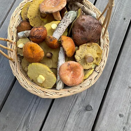 Niemtscher Am Prázdninový dům *