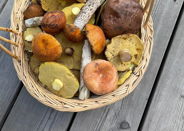 Niemtscher Am Semesterbostad *