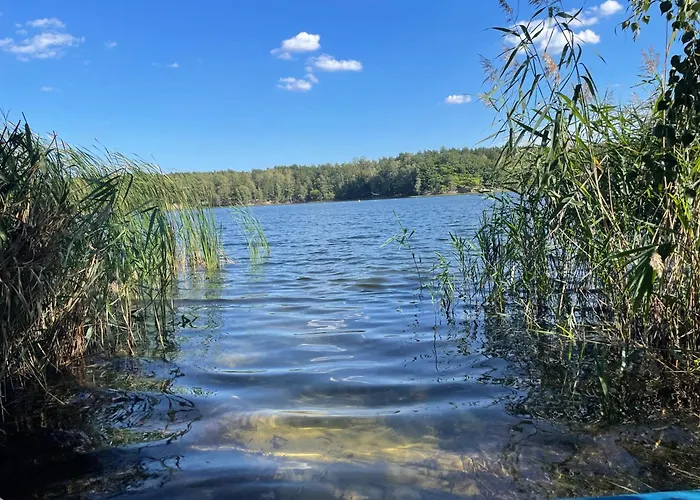 Niemtscher Am * Niemtsch